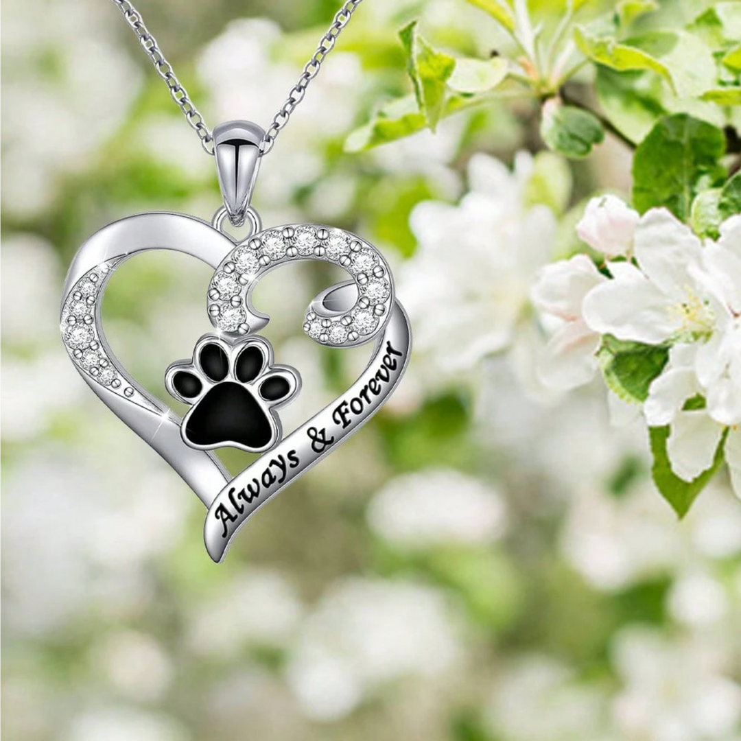 Hundhalsband med hjärtdesign i rostfritt stål och zirkonia