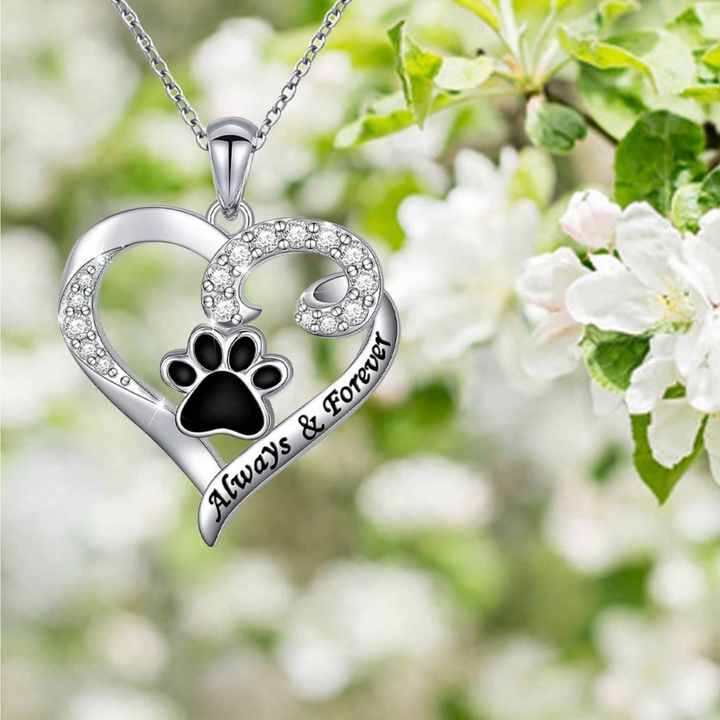 Hundhalsband med hjärtdesign i rostfritt stål och zirkonia