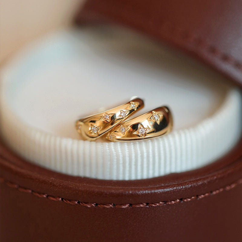 Eleganta Guld- och Silverörhängen
